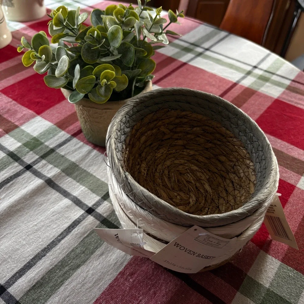 NWT Birch & Vine Small Woven Baskets, Set of Three